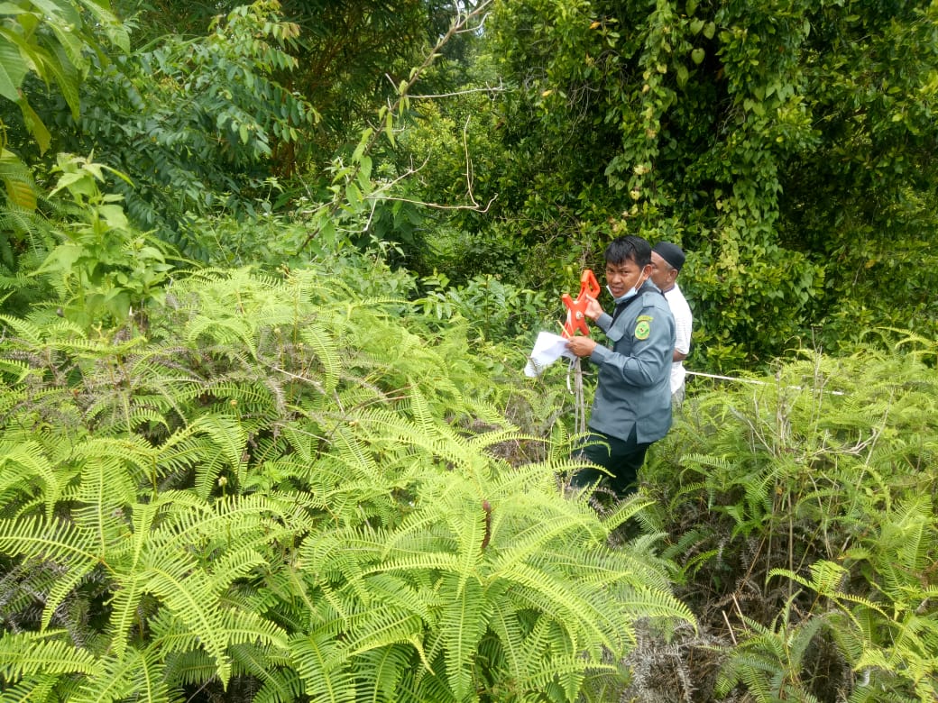 WhatsApp Image 2021-09-22 at 12.14.19.jpeg