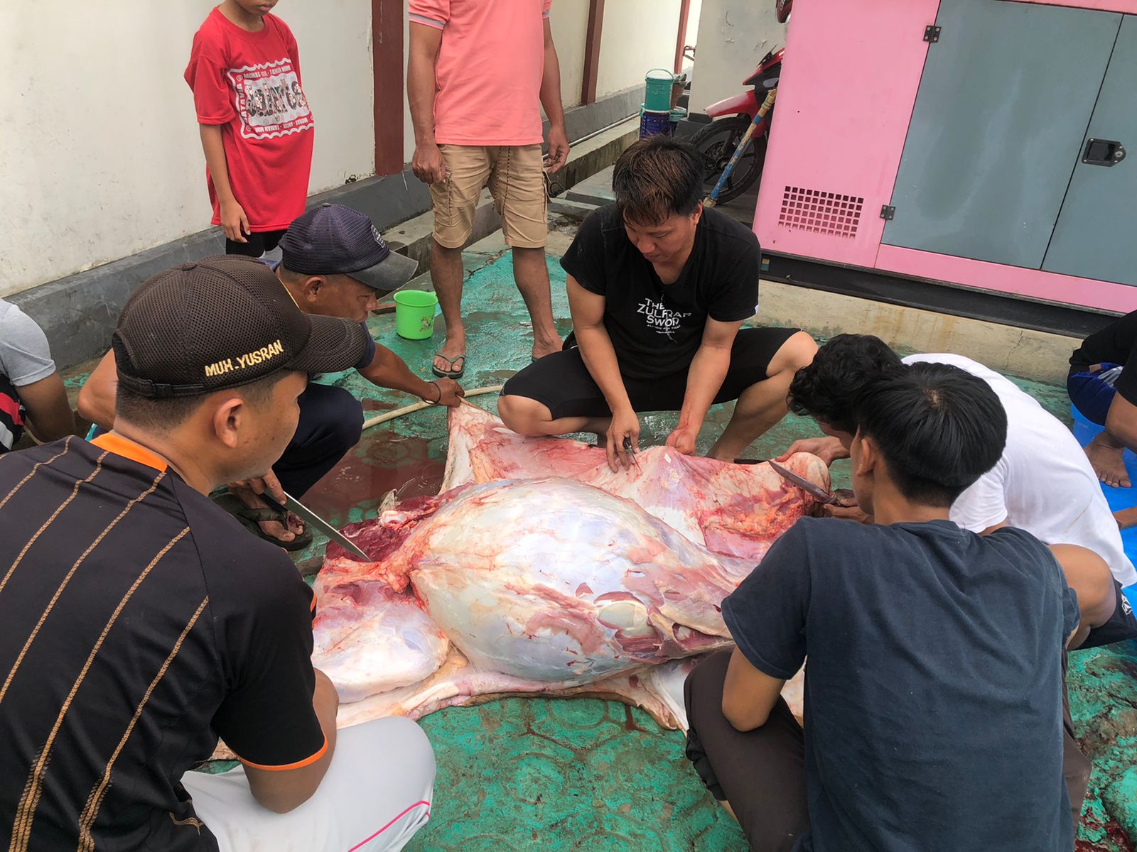 WhatsApp Image 2022-07-11 at 14.18.57.jpeg